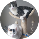 dorien baks profielfoto